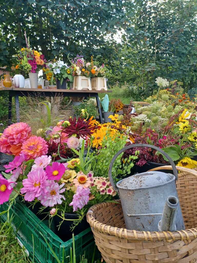 Frilandsblomster